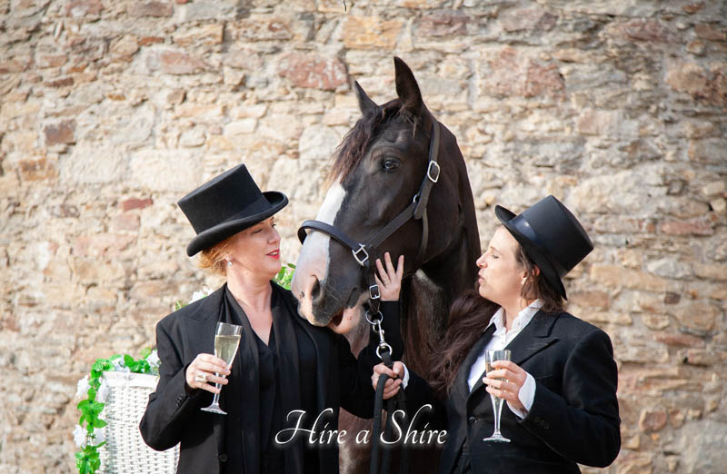 event photoshoot with horse
